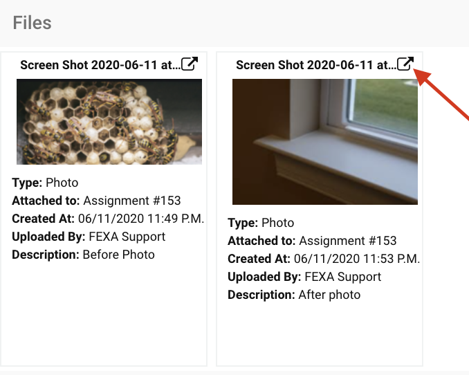Screen_Shot_2020-06-12_at_8.30.53_AM.png